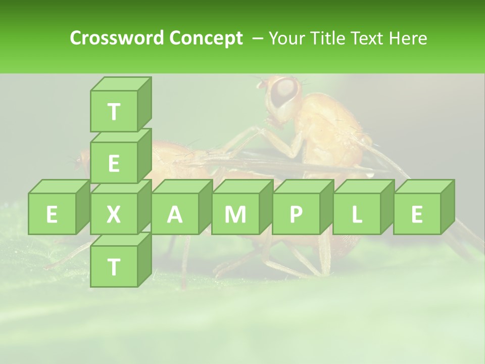 Standing Life Pensioner PowerPoint Template