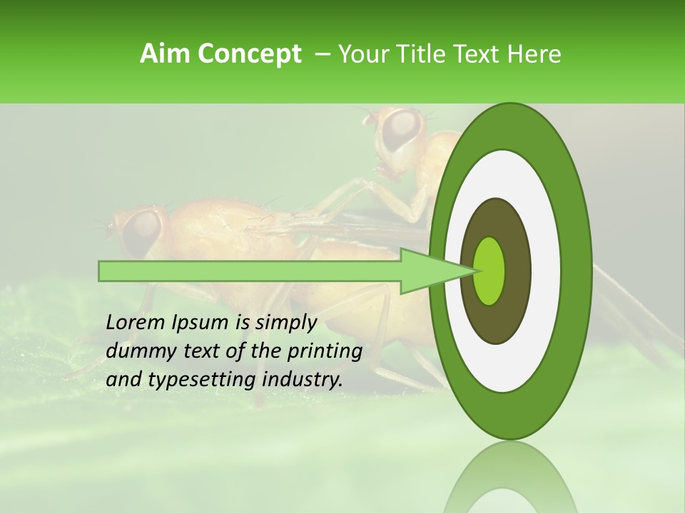 Standing Life Pensioner PowerPoint Template