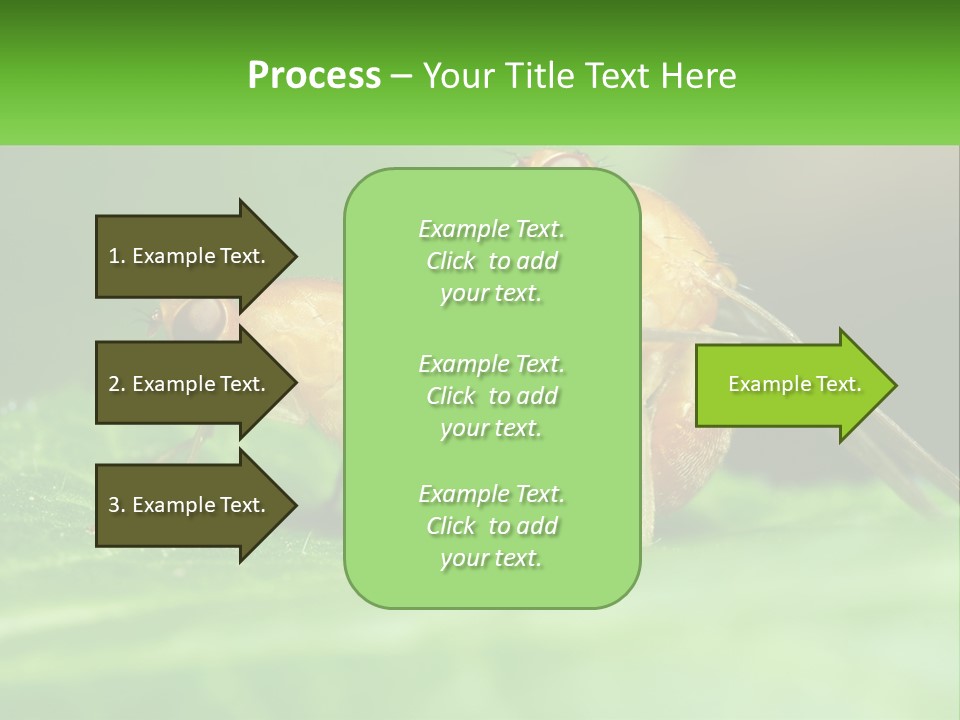 Standing Life Pensioner PowerPoint Template