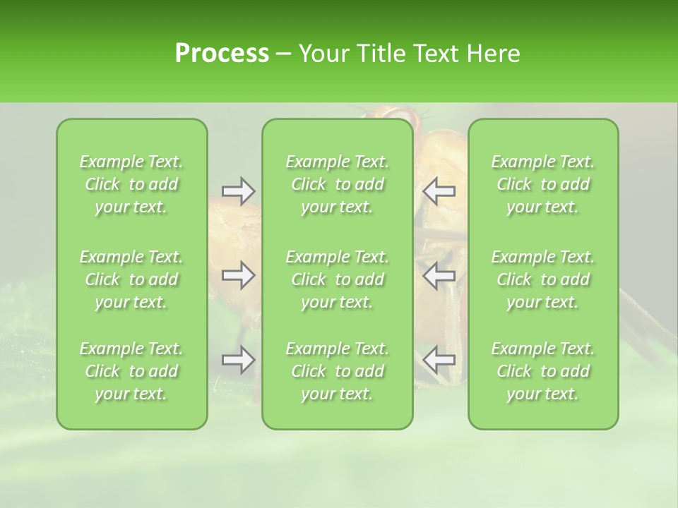 Standing Life Pensioner PowerPoint Template