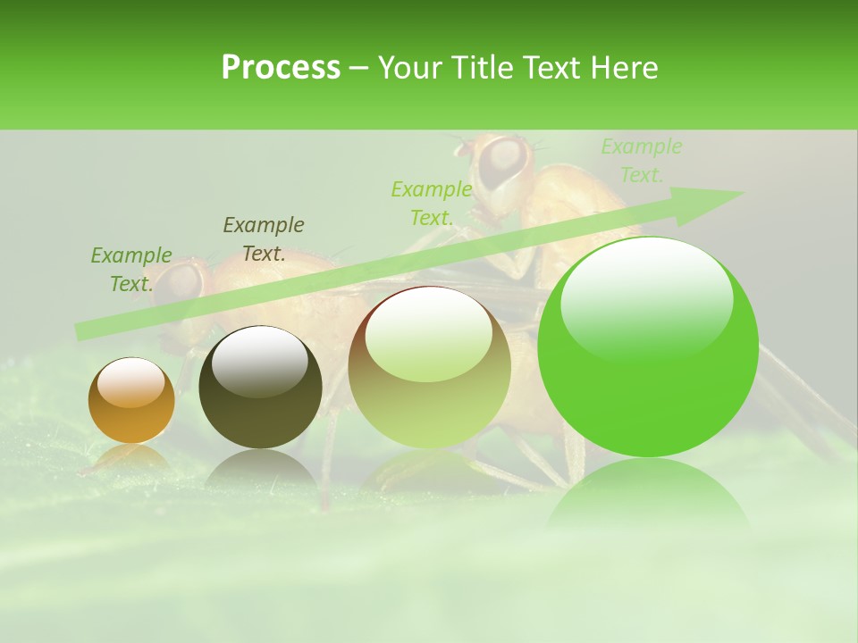 Standing Life Pensioner PowerPoint Template