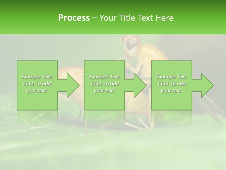 Standing Life Pensioner PowerPoint Template
