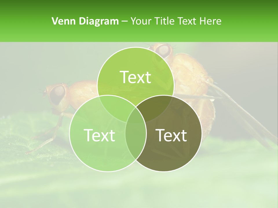 Standing Life Pensioner PowerPoint Template