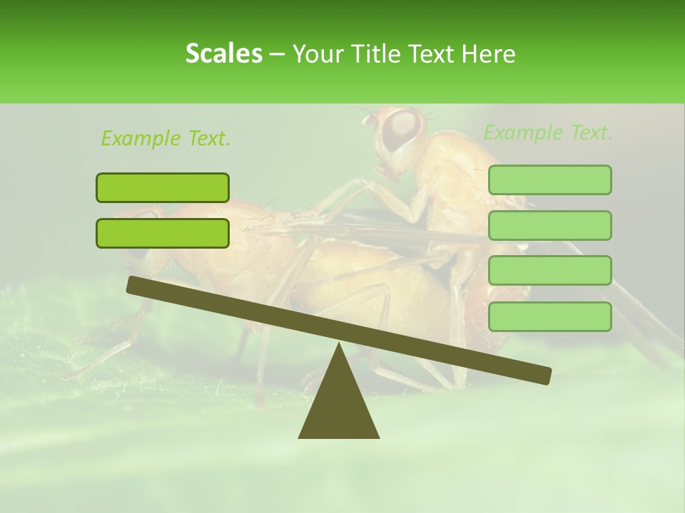 Standing Life Pensioner PowerPoint Template