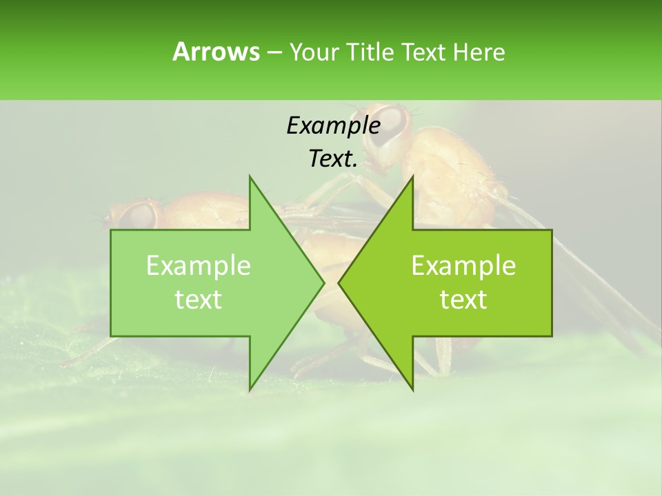 Standing Life Pensioner PowerPoint Template