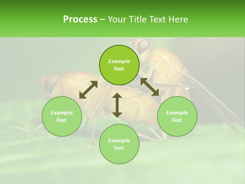 Standing Life Pensioner PowerPoint Template