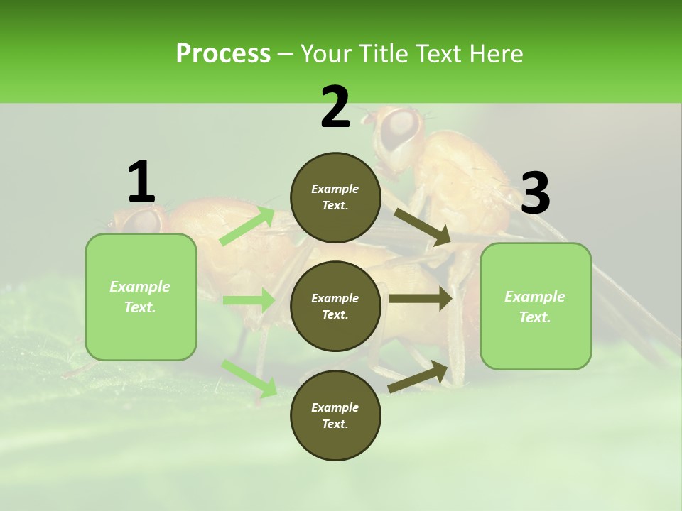 Standing Life Pensioner PowerPoint Template