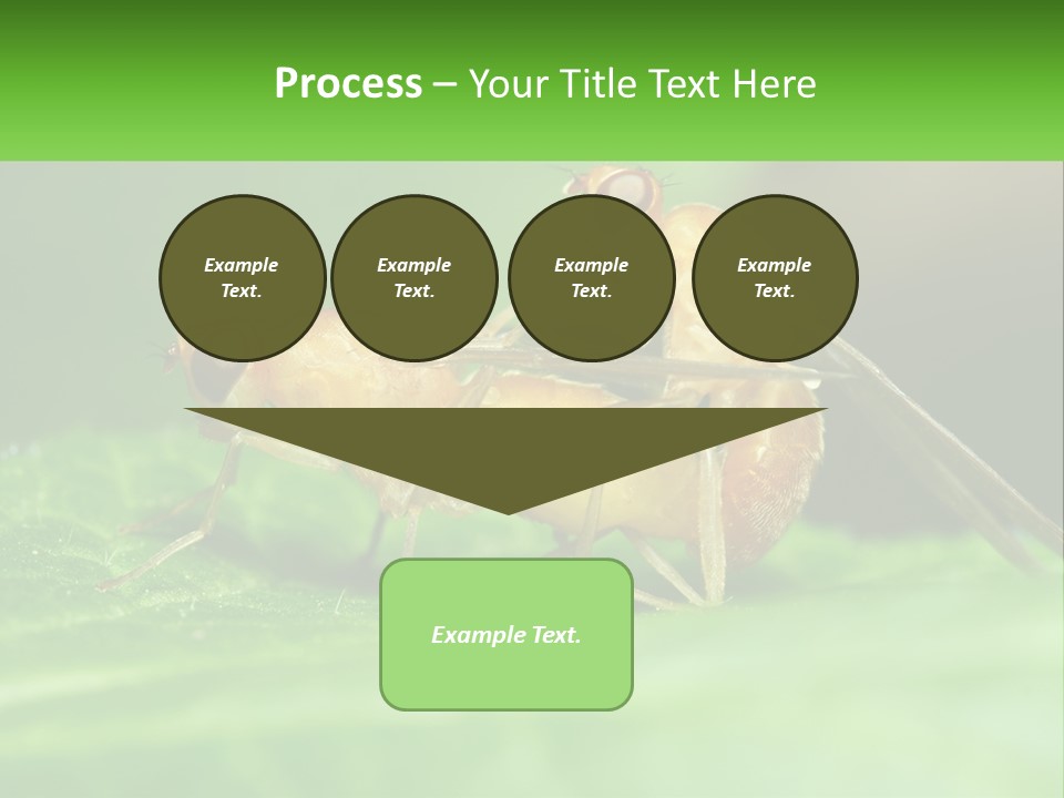 Standing Life Pensioner PowerPoint Template