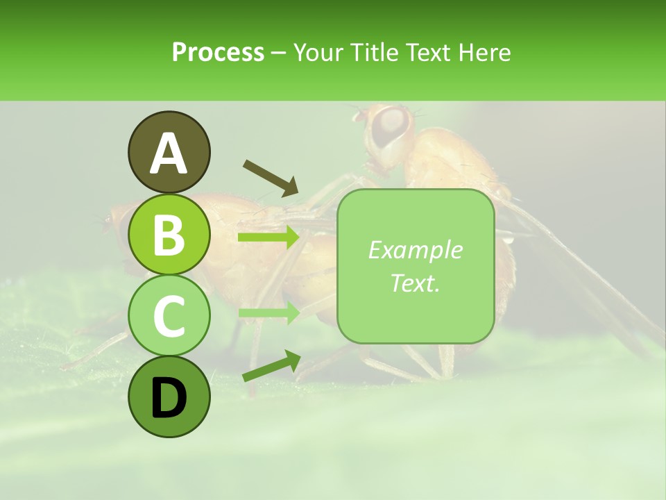 Standing Life Pensioner PowerPoint Template
