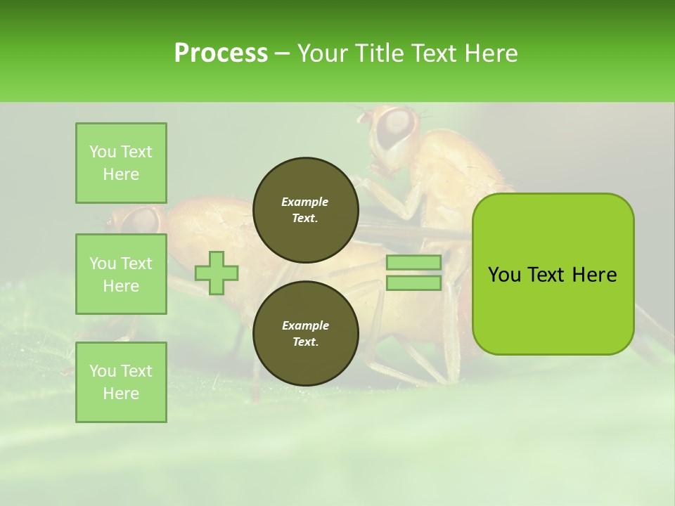 Standing Life Pensioner PowerPoint Template