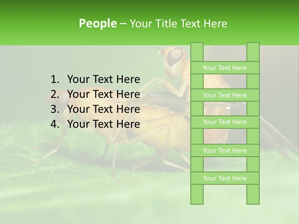 Standing Life Pensioner PowerPoint Template