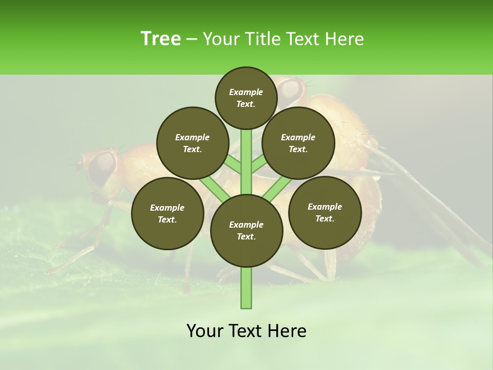 Standing Life Pensioner PowerPoint Template