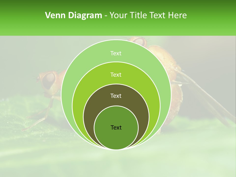 Standing Life Pensioner PowerPoint Template