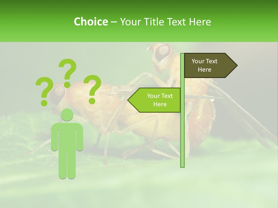 Standing Life Pensioner PowerPoint Template