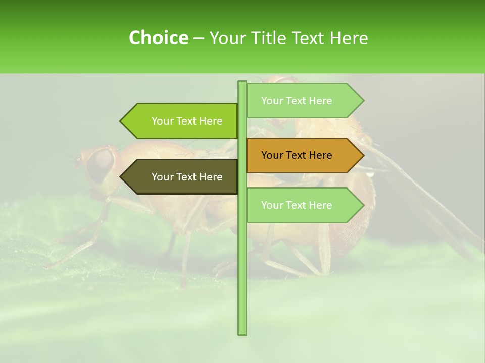 Standing Life Pensioner PowerPoint Template