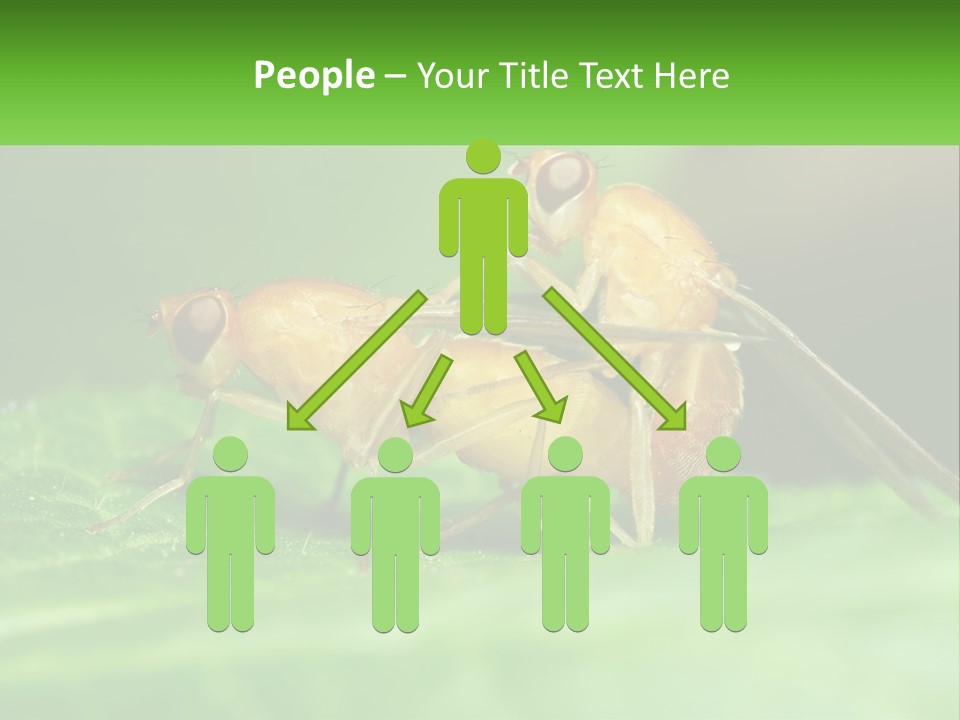 Standing Life Pensioner PowerPoint Template