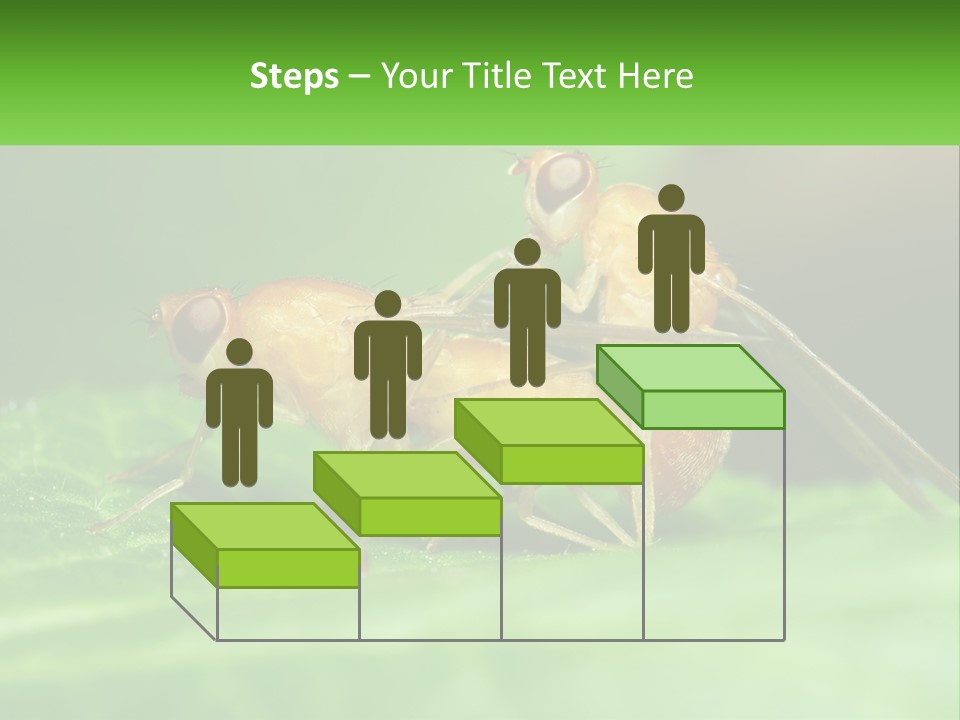 Standing Life Pensioner PowerPoint Template