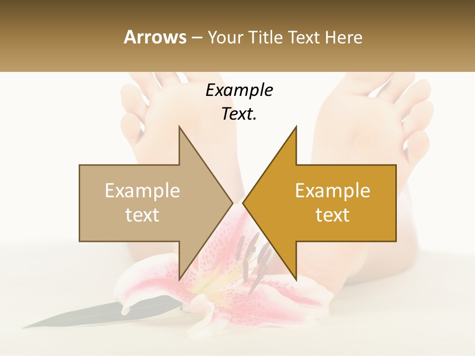 Sunset Calm Life PowerPoint Template