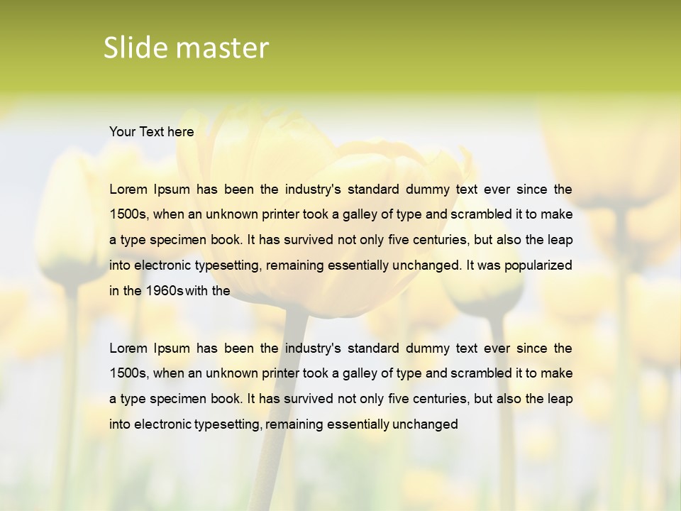 Calm Life Beach PowerPoint Template