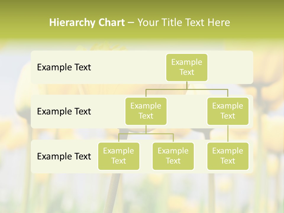Calm Life Beach PowerPoint Template