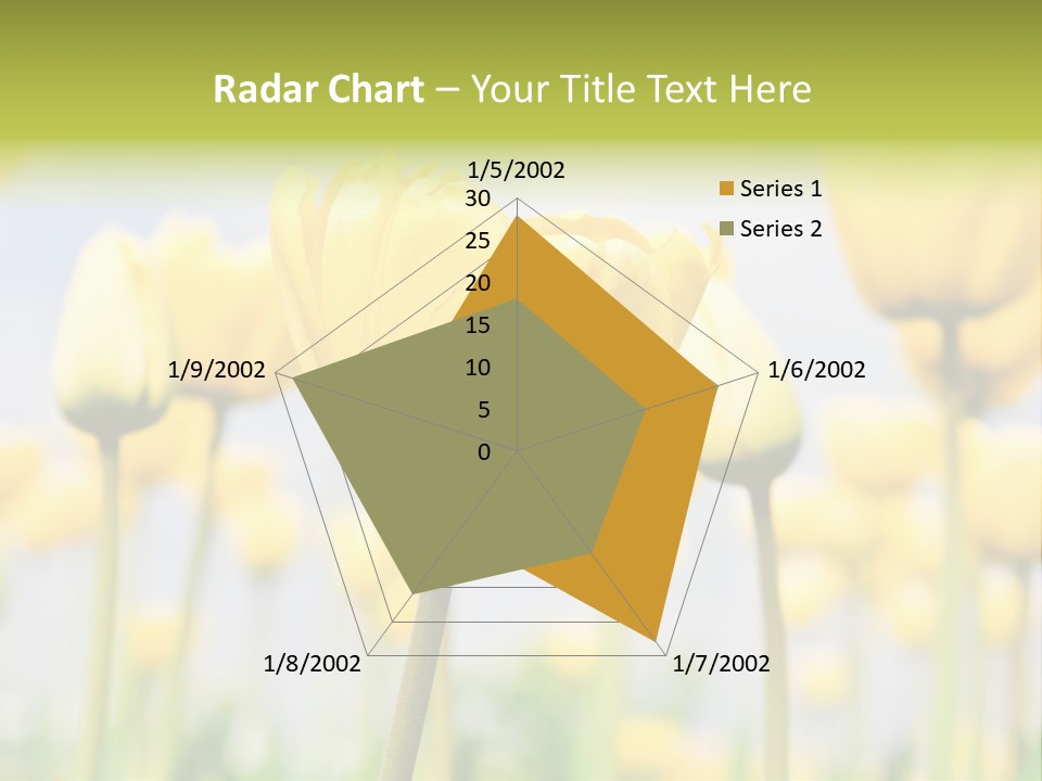 Calm Life Beach PowerPoint Template
