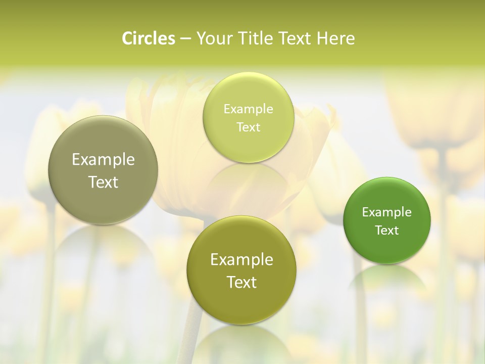 Calm Life Beach PowerPoint Template