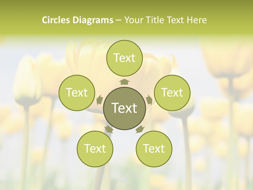 Calm Life Beach PowerPoint Template