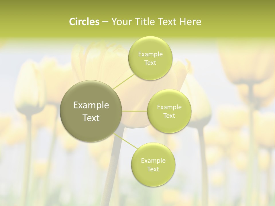 Calm Life Beach PowerPoint Template