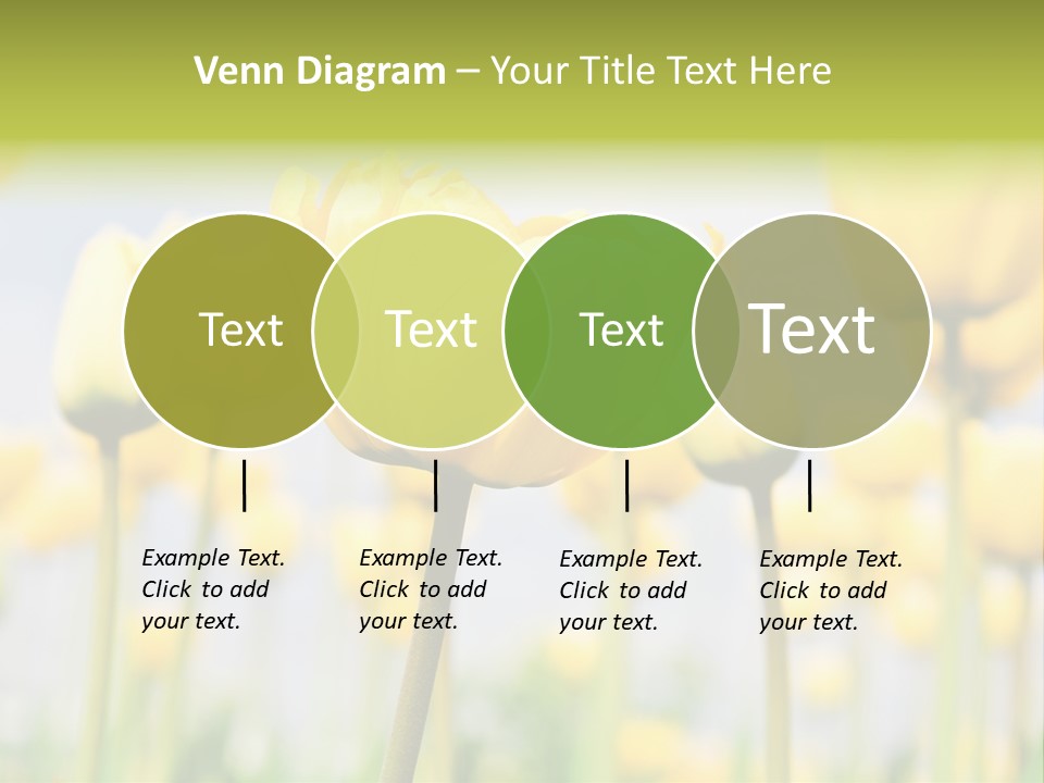 Calm Life Beach PowerPoint Template