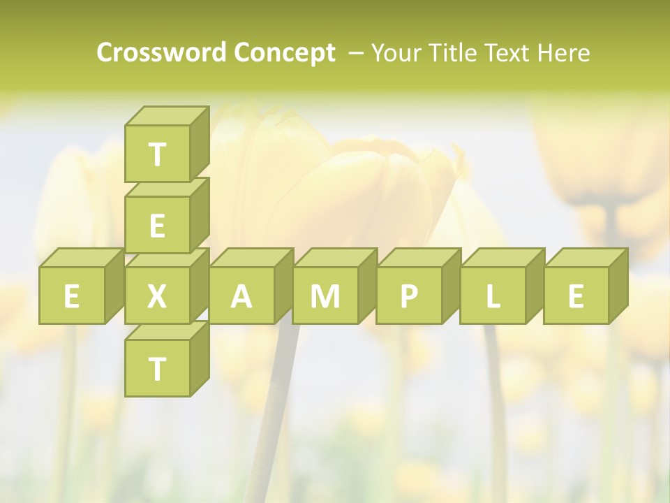 Calm Life Beach PowerPoint Template