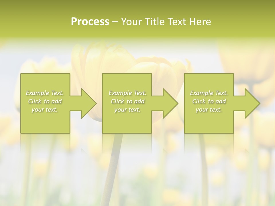 Calm Life Beach PowerPoint Template
