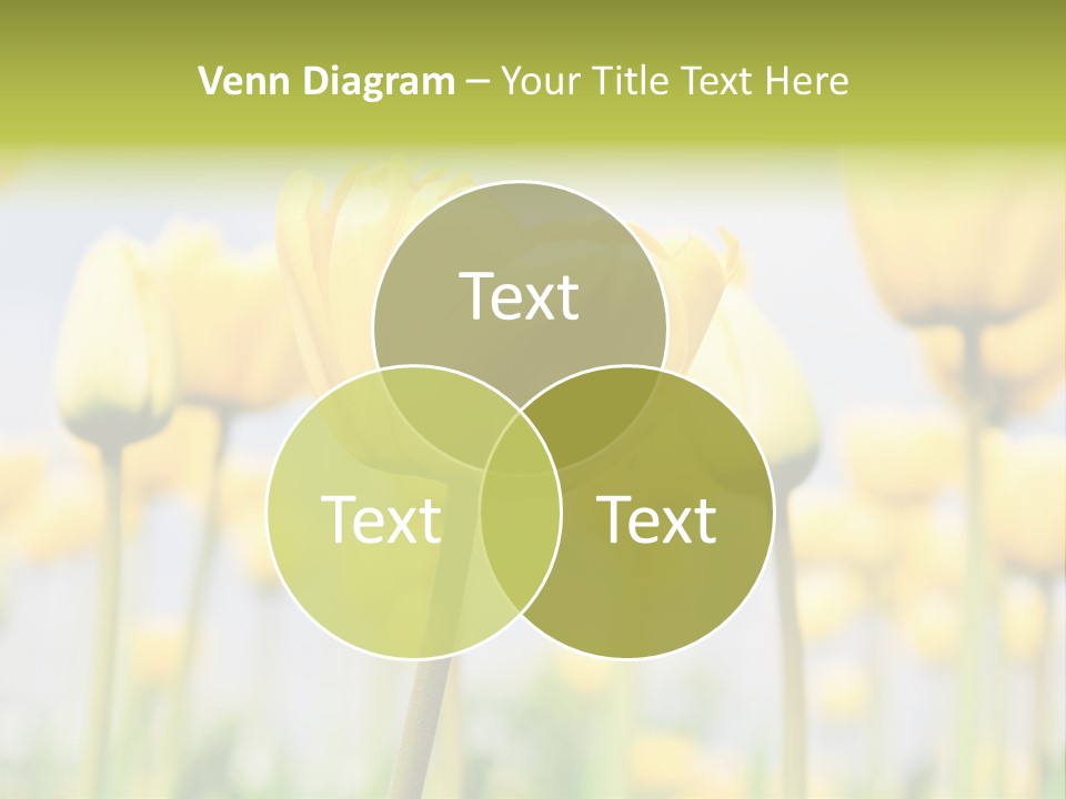 Calm Life Beach PowerPoint Template