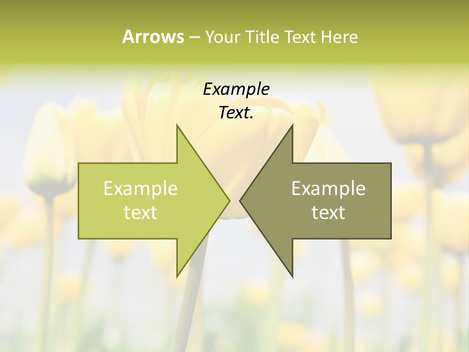 Calm Life Beach PowerPoint Template