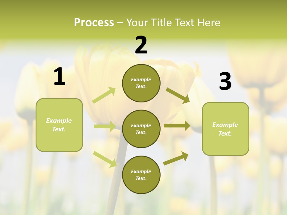 Calm Life Beach PowerPoint Template