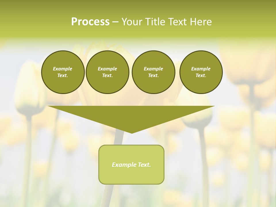 Calm Life Beach PowerPoint Template