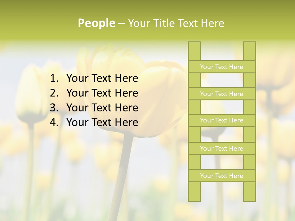 Calm Life Beach PowerPoint Template