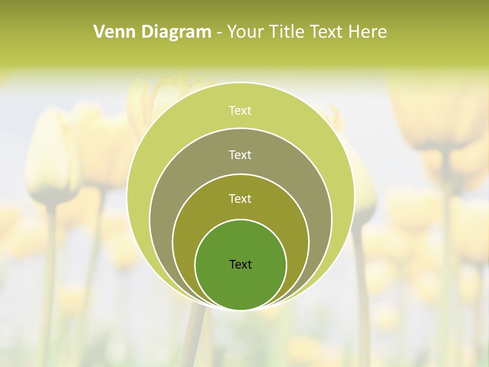 Calm Life Beach PowerPoint Template