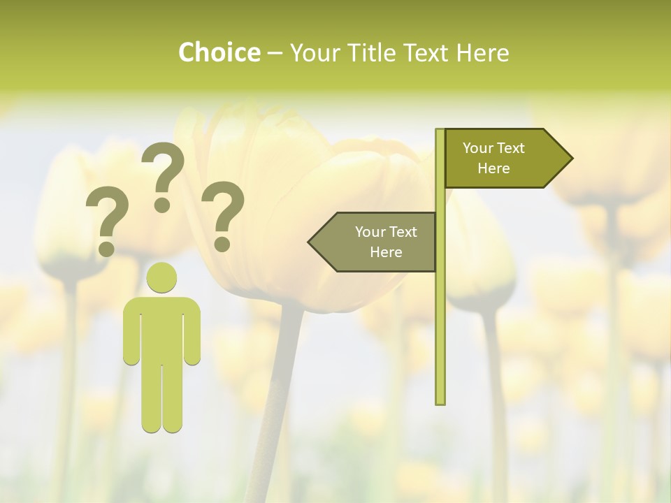 Calm Life Beach PowerPoint Template