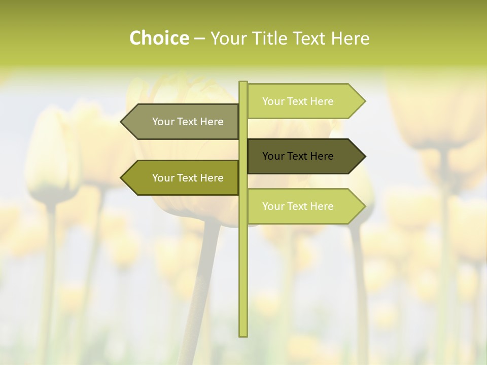 Calm Life Beach PowerPoint Template