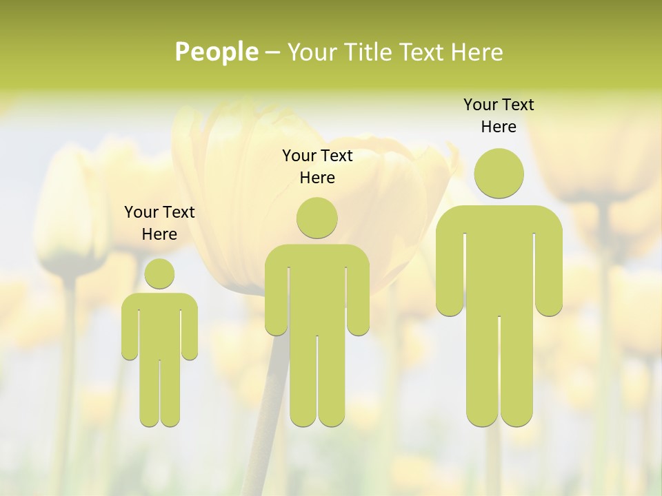 Calm Life Beach PowerPoint Template