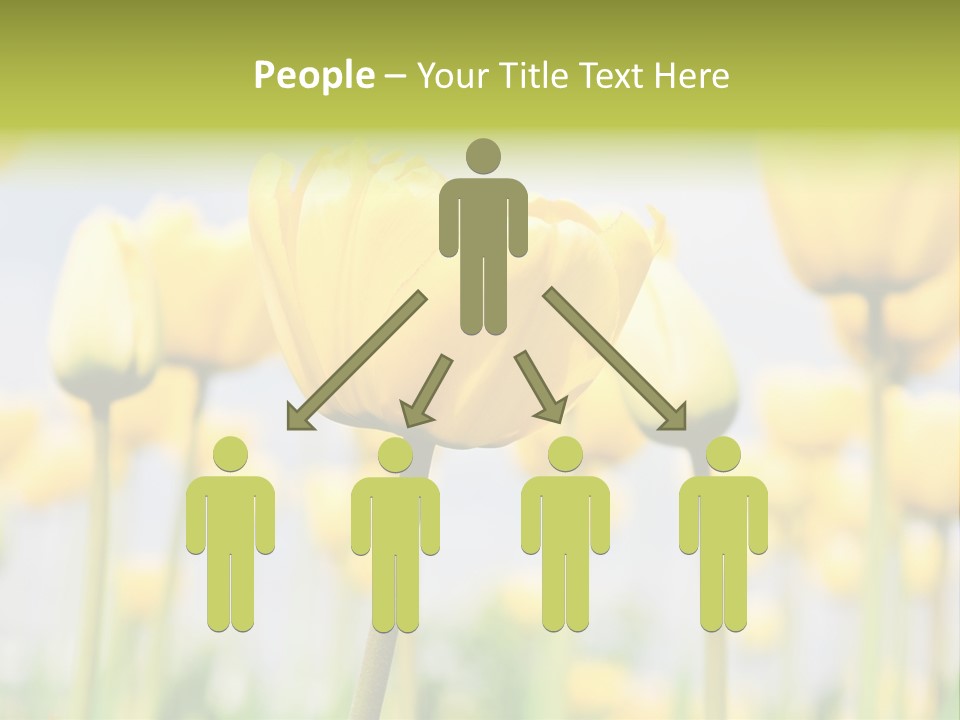 Calm Life Beach PowerPoint Template