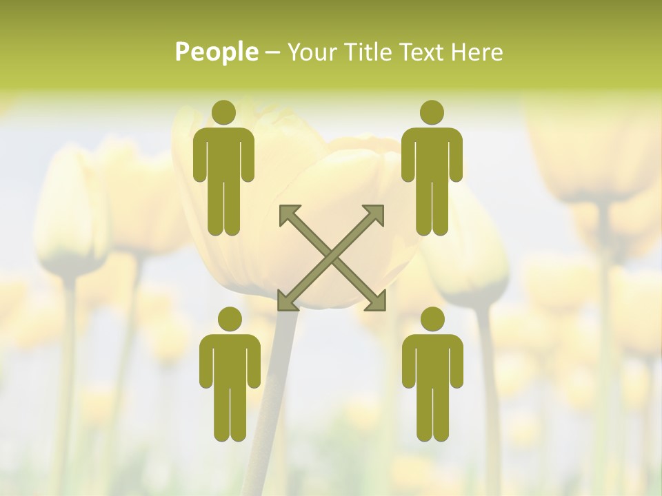 Calm Life Beach PowerPoint Template