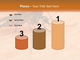 Calm Standing Wave PowerPoint Template