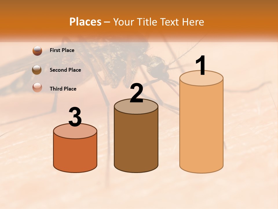 Calm Standing Wave PowerPoint Template