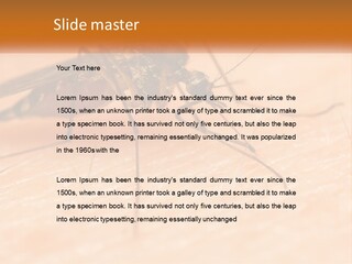 Calm Standing Wave PowerPoint Template