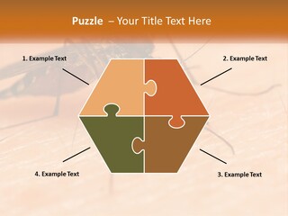 Calm Standing Wave PowerPoint Template