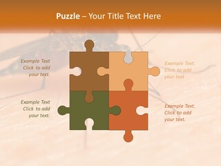 Calm Standing Wave PowerPoint Template