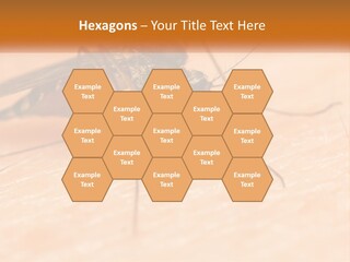 Calm Standing Wave PowerPoint Template