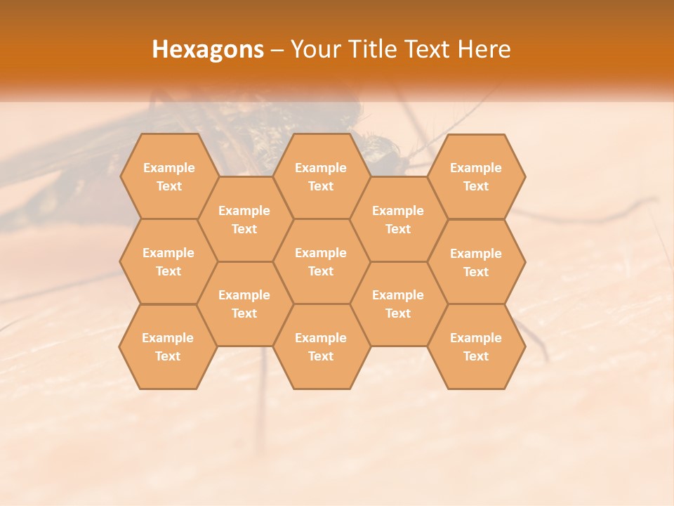 Calm Standing Wave PowerPoint Template