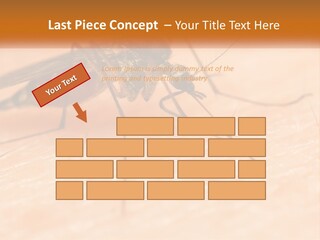 Calm Standing Wave PowerPoint Template